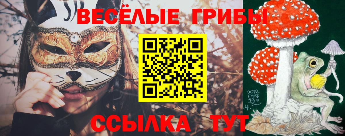 Кировск  Галлюциногенные грибы Magic Shrooms  Вход с VPN 