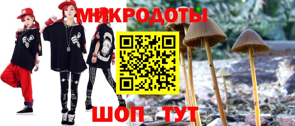 Галлюциногенные грибы прущие грибы Кировск