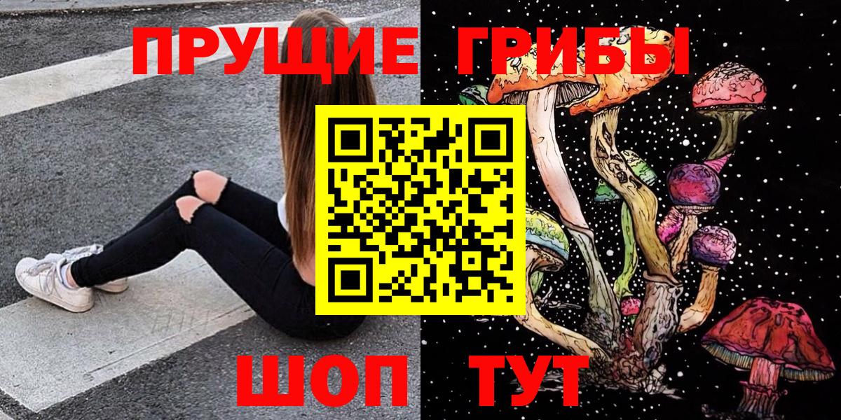 Галлюциногенные грибы Psilocybe Кировск